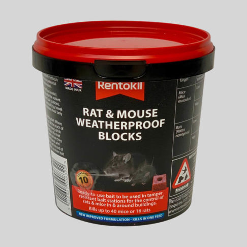 How Does Rat Poison Work? What You Need To Know — Dalton Engineering